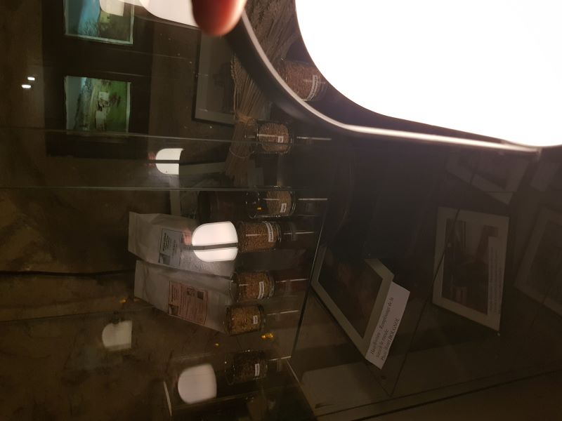 Nuit_des_musees_20222