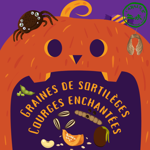 Post_Instagram_Citrouille_dHalloween_Mignonne_Orange_Violette